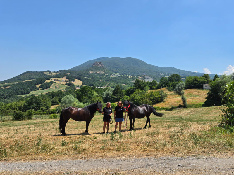 Scopri di più sull'articolo Nuove opportunità per i nostri ospiti: passeggiate a cavallo e ristorante con servizio d’asporto e a domicilio